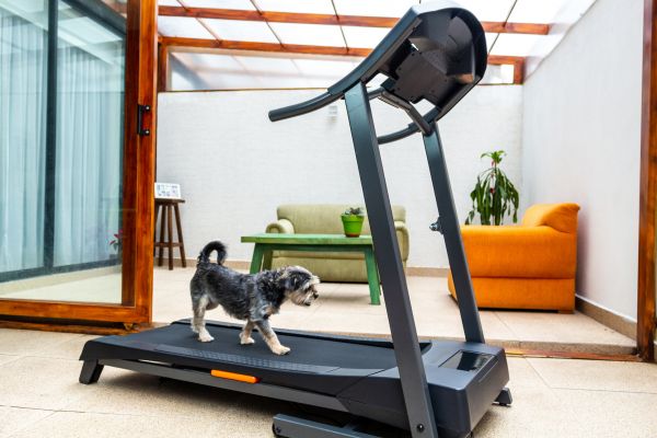 Treadmill Installation in Kenner