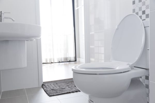 Cost of Toilet Seat Installation in Kenner