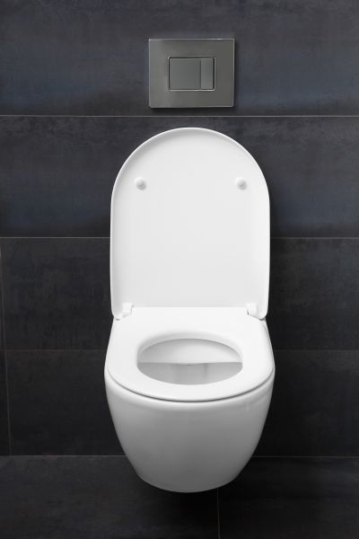 Toilet Lid Installation in Kenner