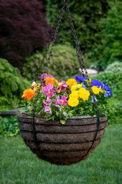 Hanging Basket Installation in Kenner