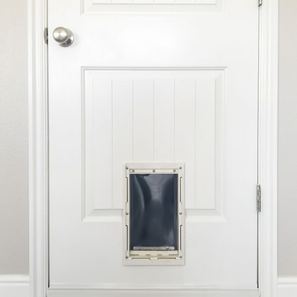 Pet Door Repair in Kenner