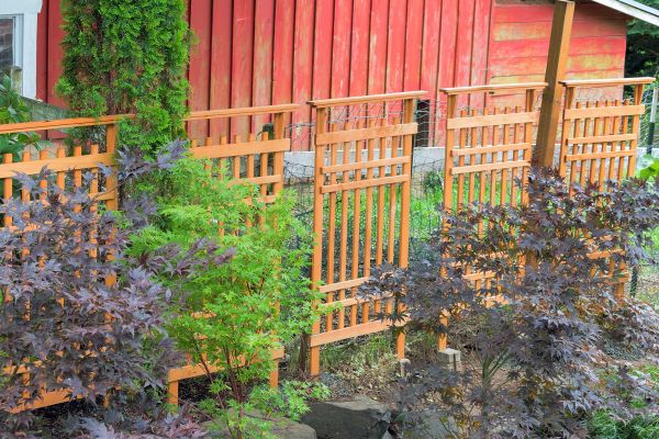 Wood Trellis Mounting in Kenner