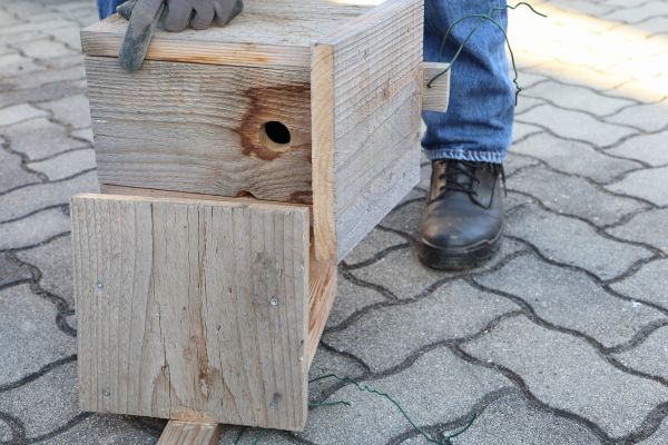 Cost of Birdhouse Mounting in Kenner