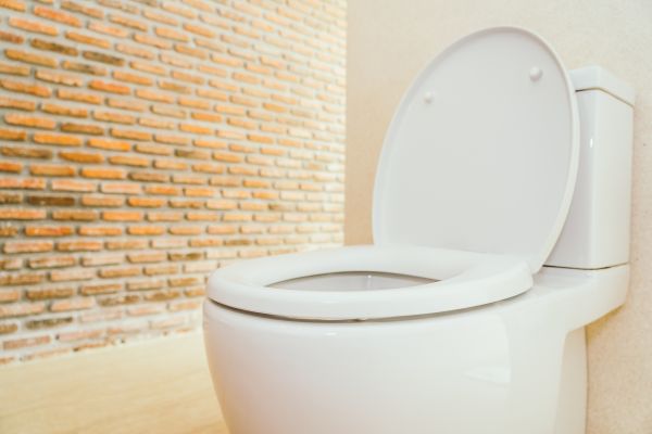 Cost of Toilet Seat Repair in Kenner